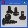 DIN ANSI standard low price double threaded screw